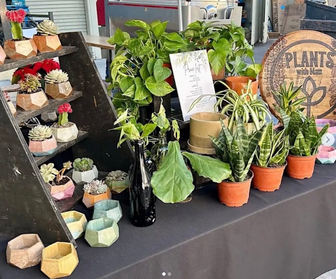 North Park Plant Sale