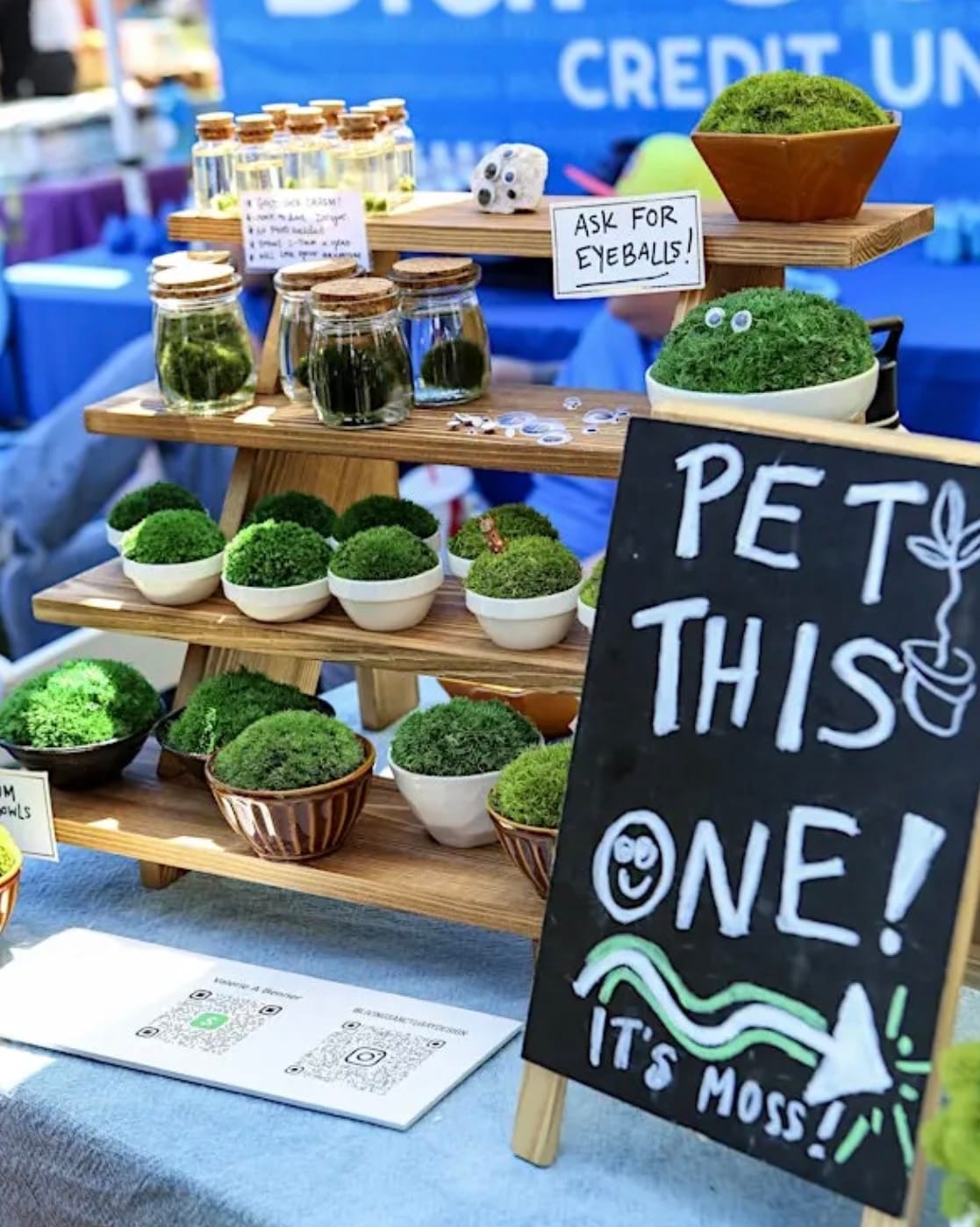North Park Plant Sale